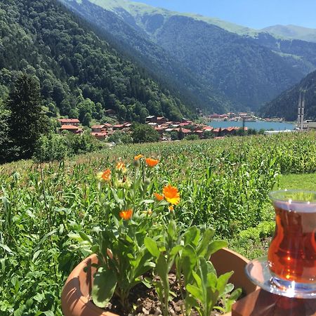Zeren Pansiyon Kamalac Екстер'єр фото